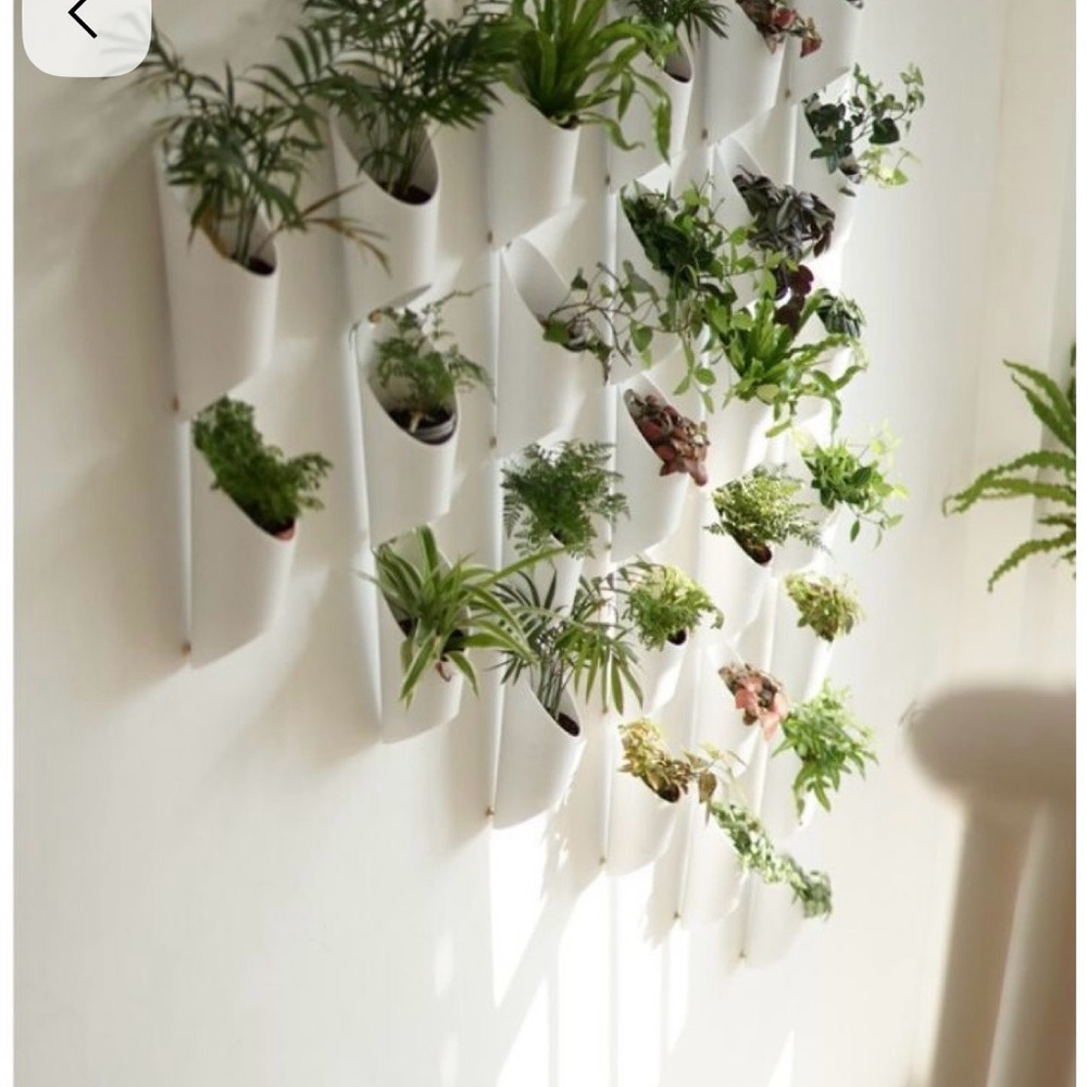 Modern White Wall Planter Set - Umbra